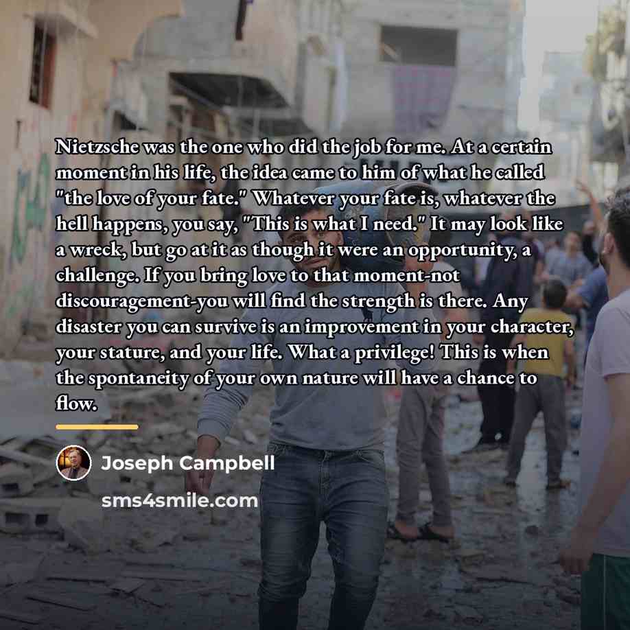 “Nietzsche was the one who did the job for me.…” quote by Joseph Campbell