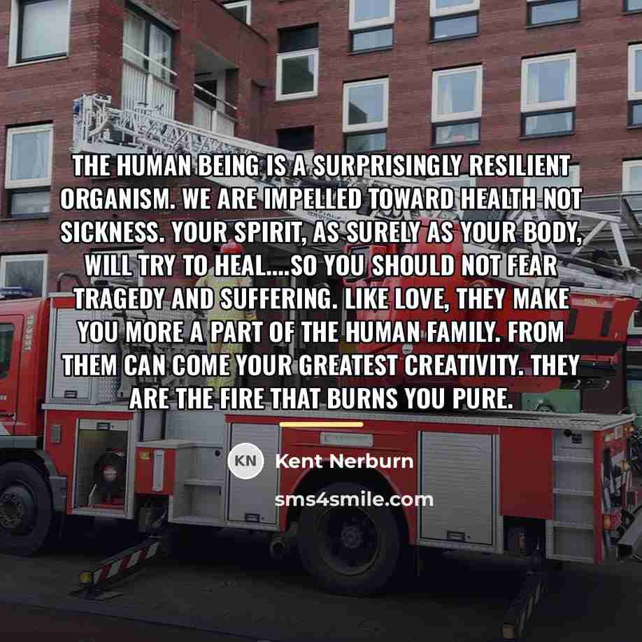 “The human being is a surprisingly resilient organism. We are…” quote by Kent Nerburn