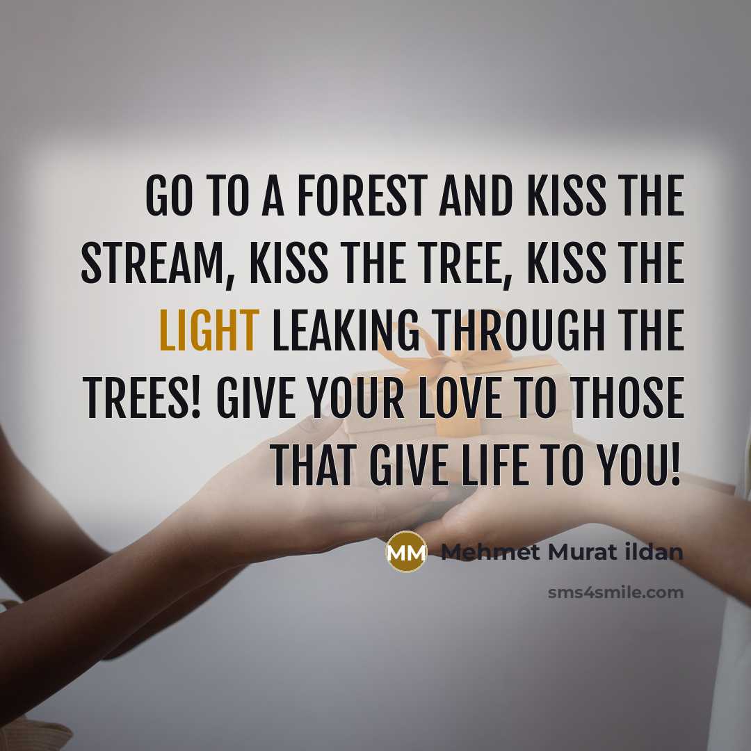 “Go to a forest and kiss the stream, kiss the…” quote by Mehmet Murat Ildan