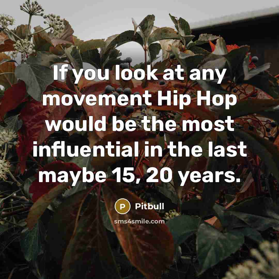 “If you look at any movement Hip Hop would be…” quote by Pitbull