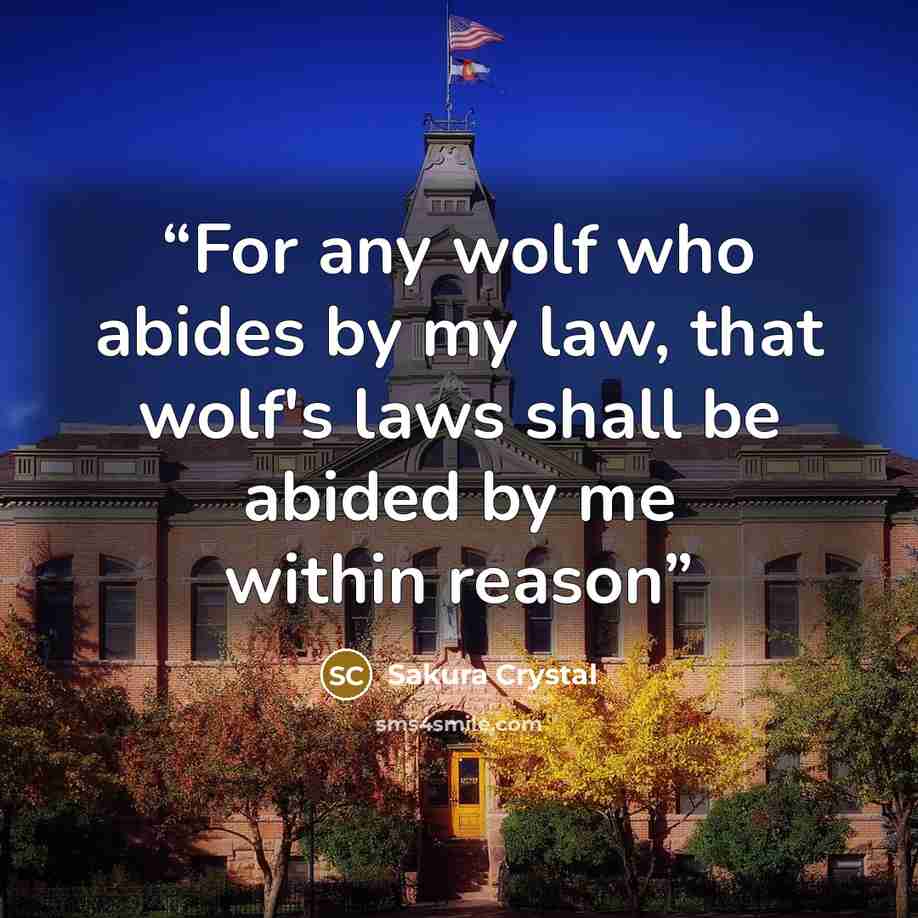 “For any wolf who abides by my law, that wolf's laws shall be abided by me within reason” quote by Sakura Crystal