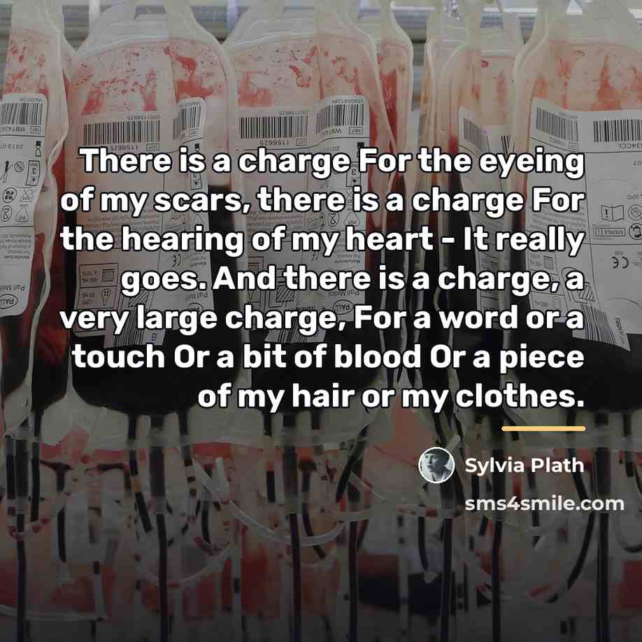 “There is a charge For the eyeing of my scars,…” quote by Sylvia Plath