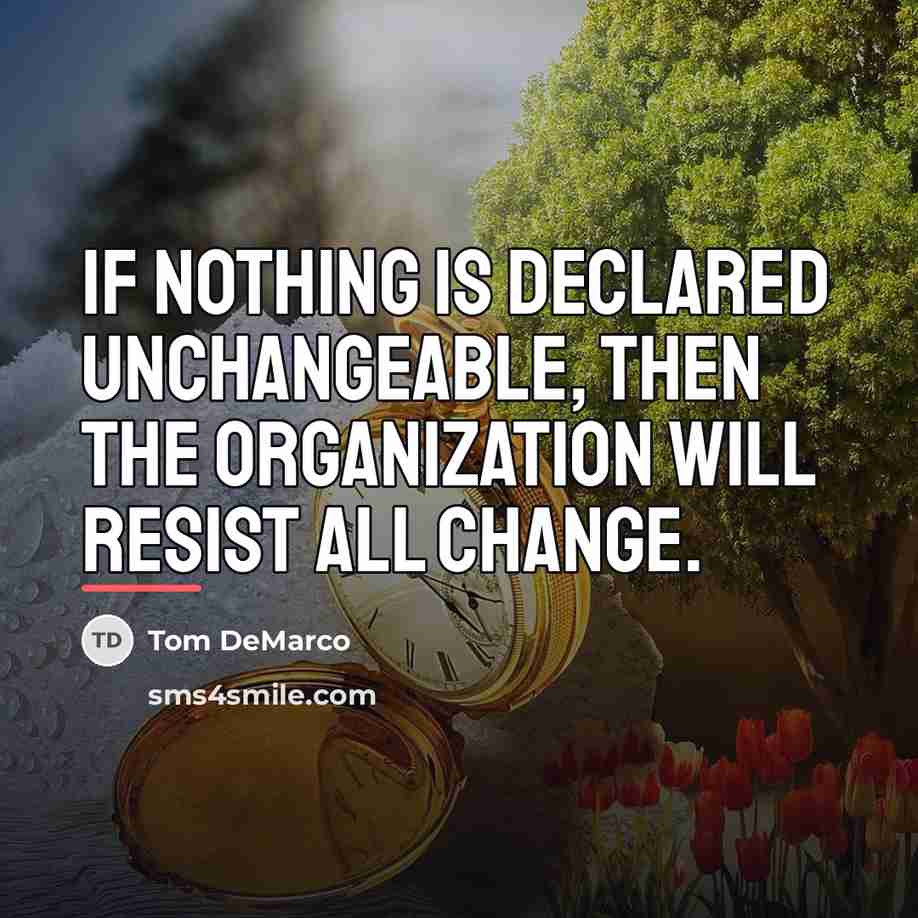 “If nothing is declared unchangeable, then the organization will resist…” quote by Tom DeMarco