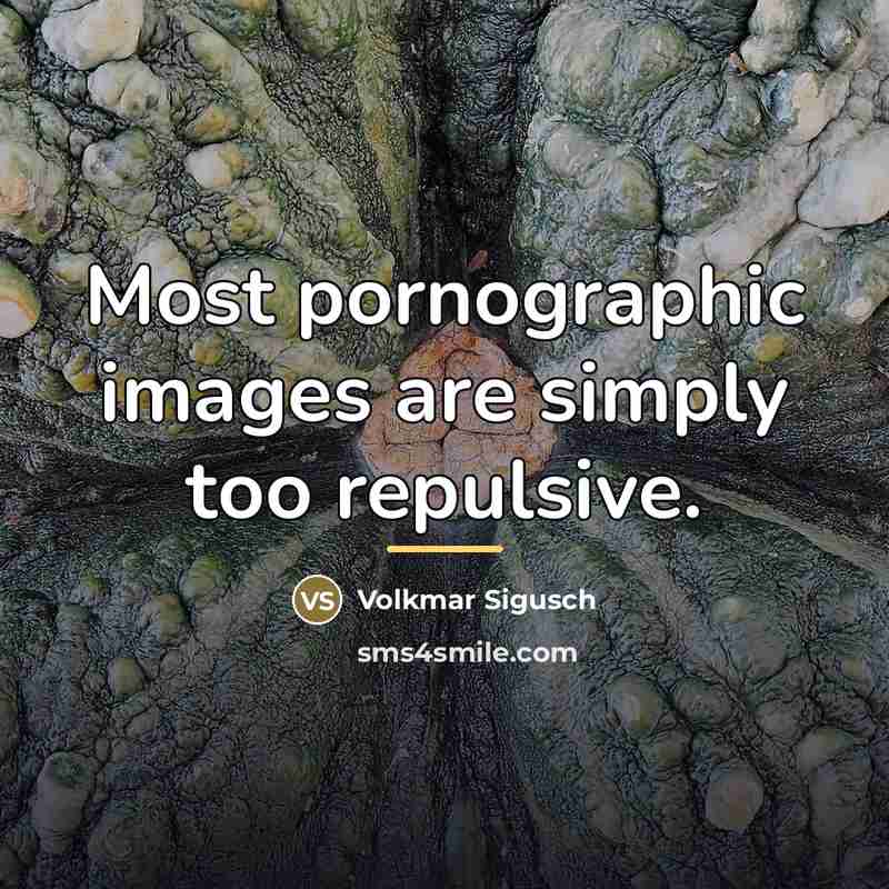 “Most pornographic images are simply too repulsive.…” quote by Volkmar Sigusch