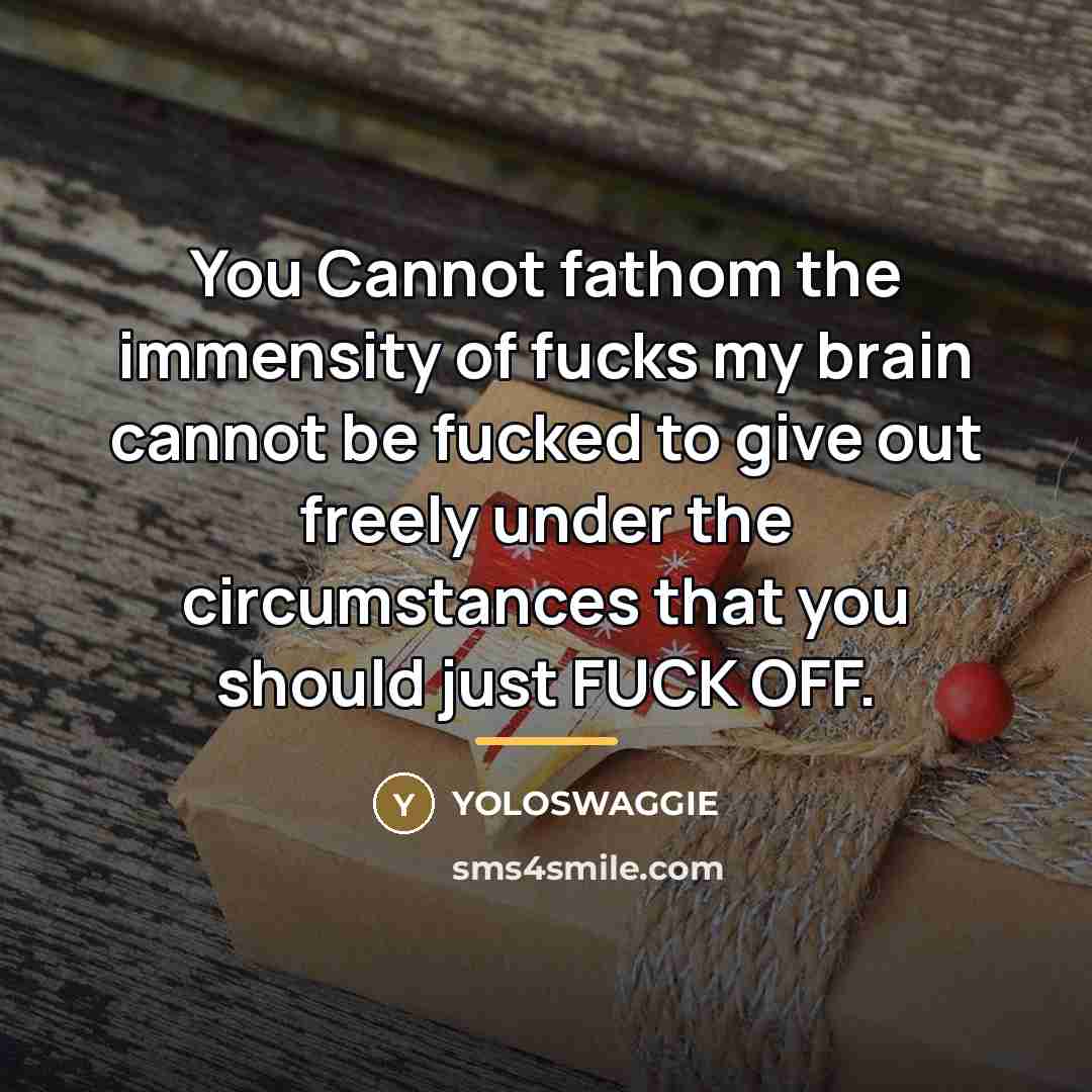 “You Cannot fathom the immensity of fucks my brain cannot…” quote by Yoloswaggie