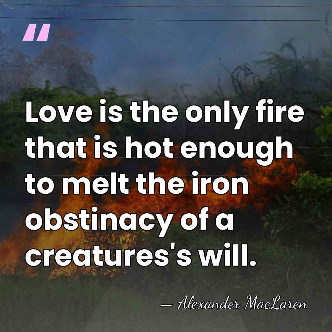 Love is the only fire that is hot enough to melt the&hellip; - Alexander MacLaren