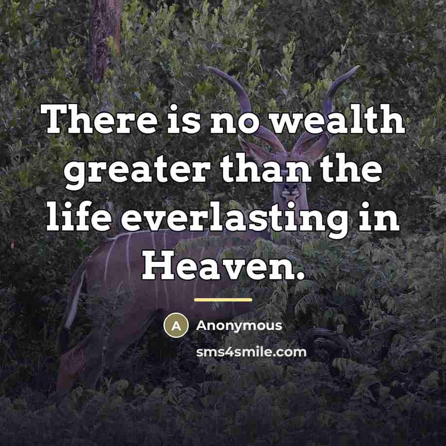 “There is no wealth greater than the life everlasting in…” quote by Anonymous