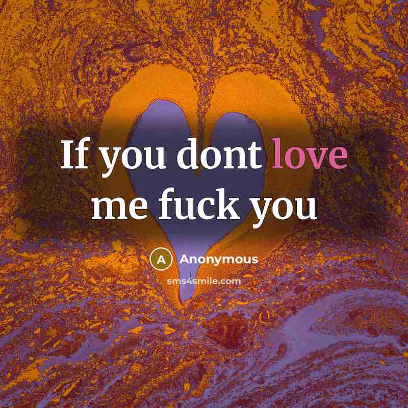 “If you dont love me fuck you…” quote by Anonymous