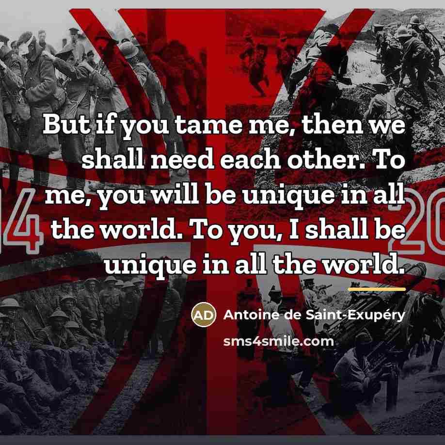 “But if you tame me, then we shall need each…” quote by Antoine de Saint-Exupery