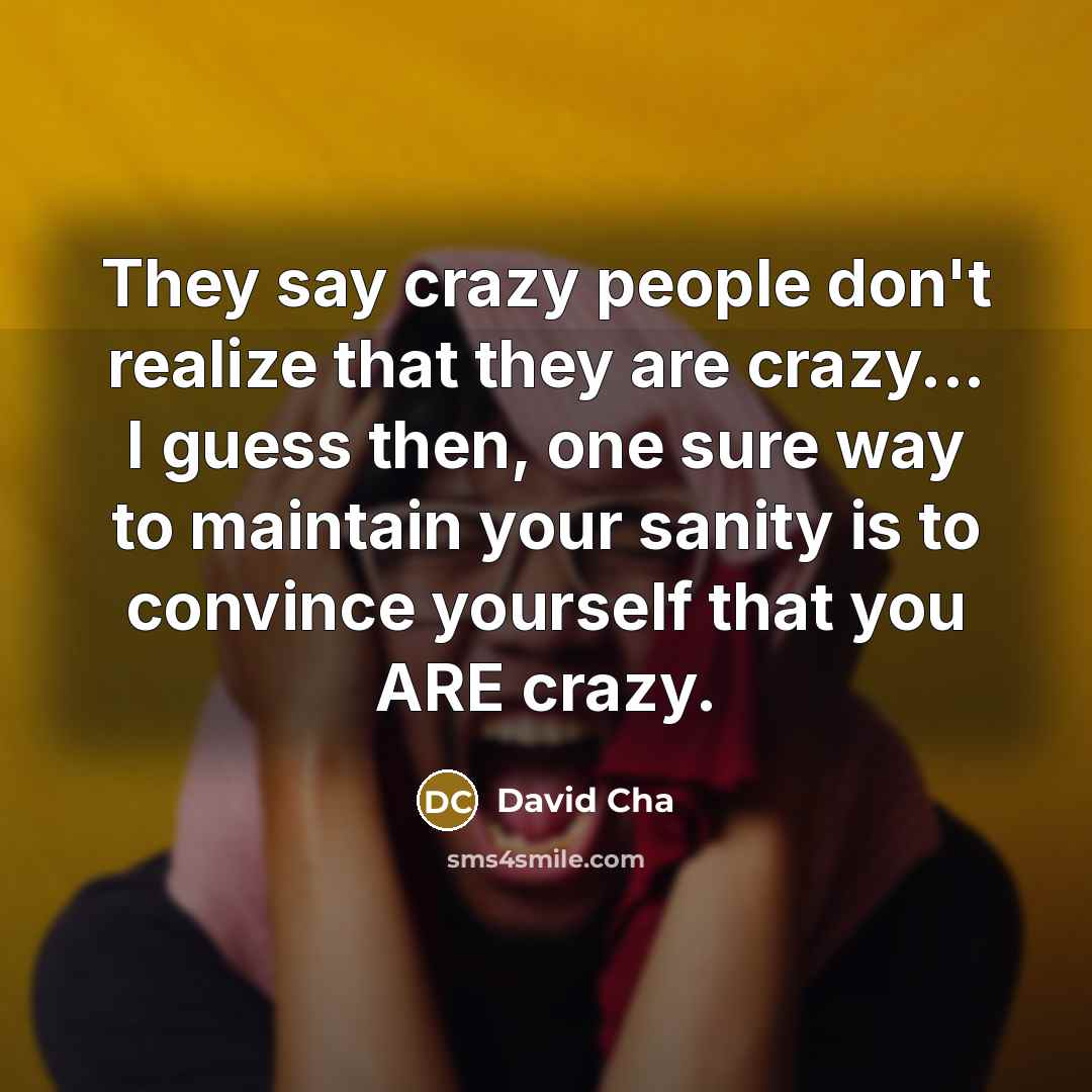 “They say crazy people don't realize that they are crazy...…” quote by David Cha