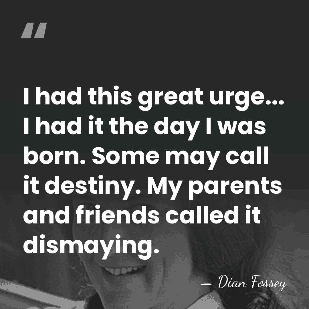 I had this great urge... I had it the day I was&hellip; - Dian Fossey