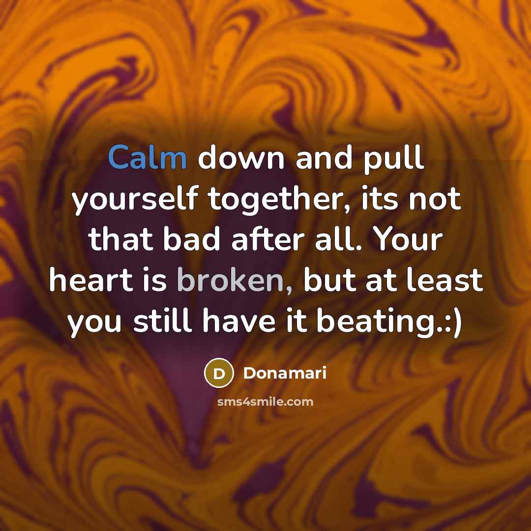 “Calm down and pull yourself together, its not that bad after all. Your heart is broken, but at least you still have it beating.:)” quote by Donamari