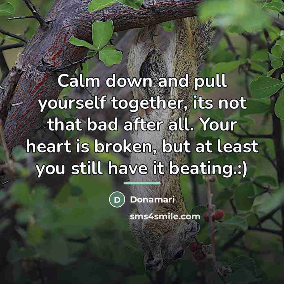 “Calm down and pull yourself together, its not that bad…” quote by Donamari