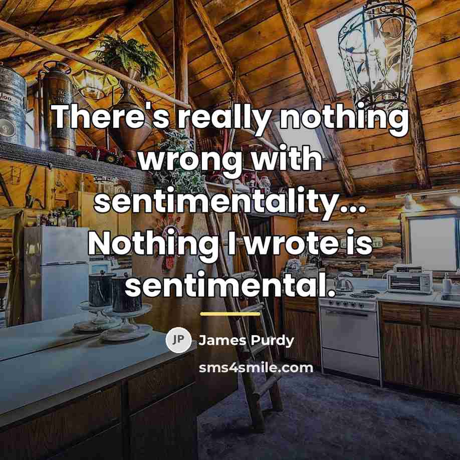 “There's really nothing wrong with sentimentality... Nothing I wrote is…” quote by James Purdy