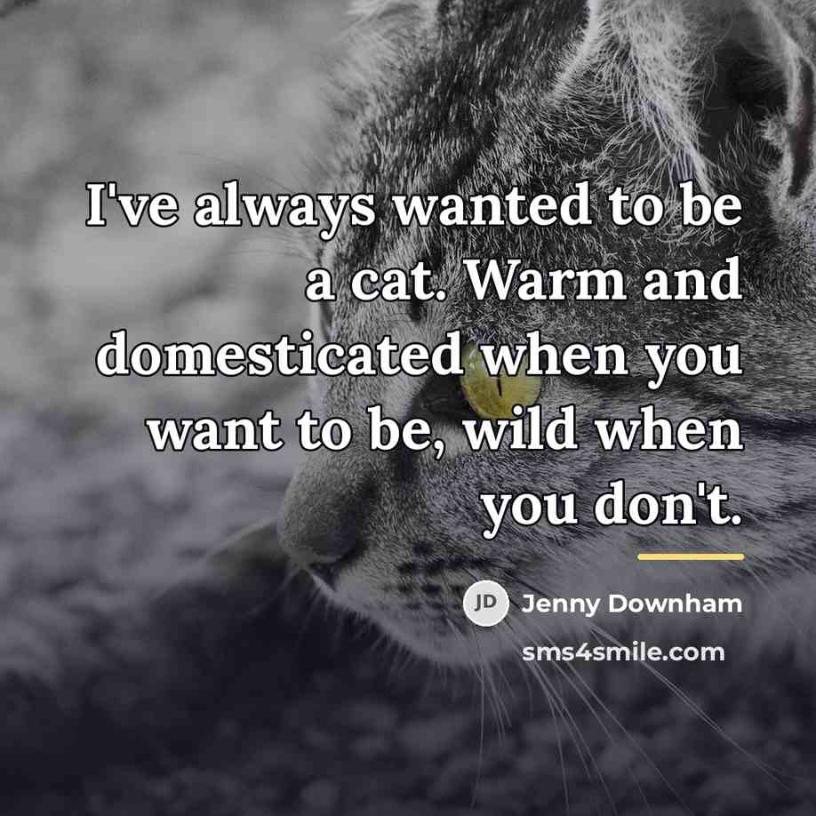 “I've always wanted to be a cat. Warm and domesticated…” quote by Jenny Downham