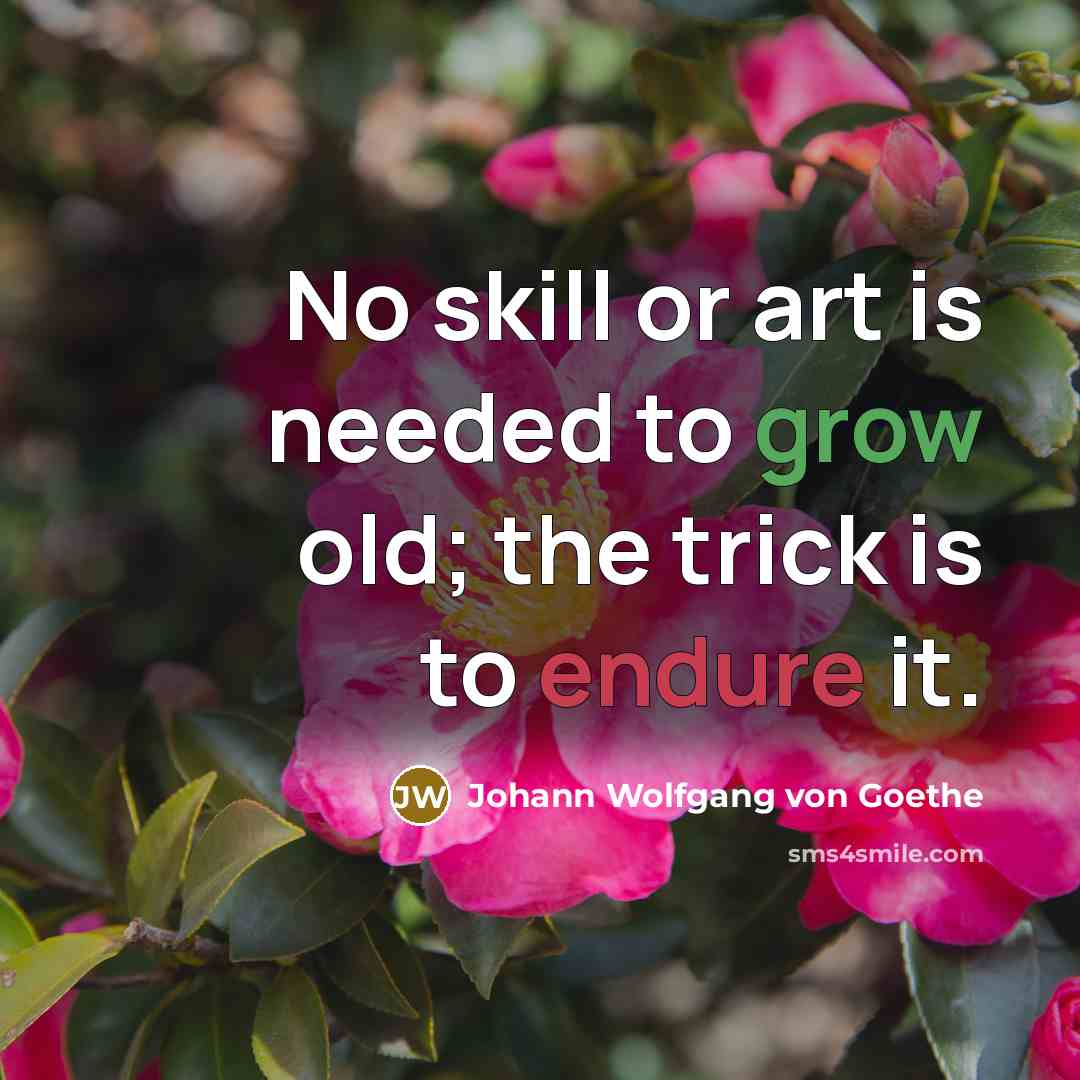 “No skill or art is needed to grow old; the…” quote by Johann Wolfgang von Goethe
