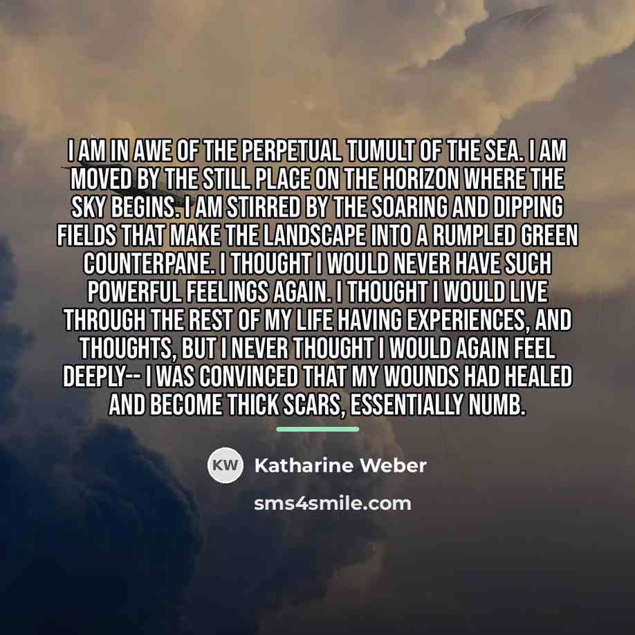 “I am in awe of the perpetual tumult of the…” quote by Katharine Weber