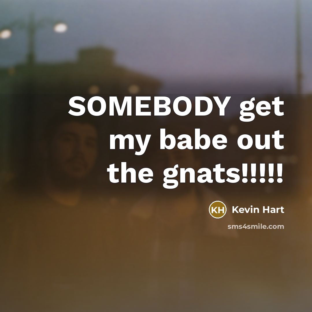“SOMEBODY get my babe out the gnats!!!!!” quote by Kevin Hart