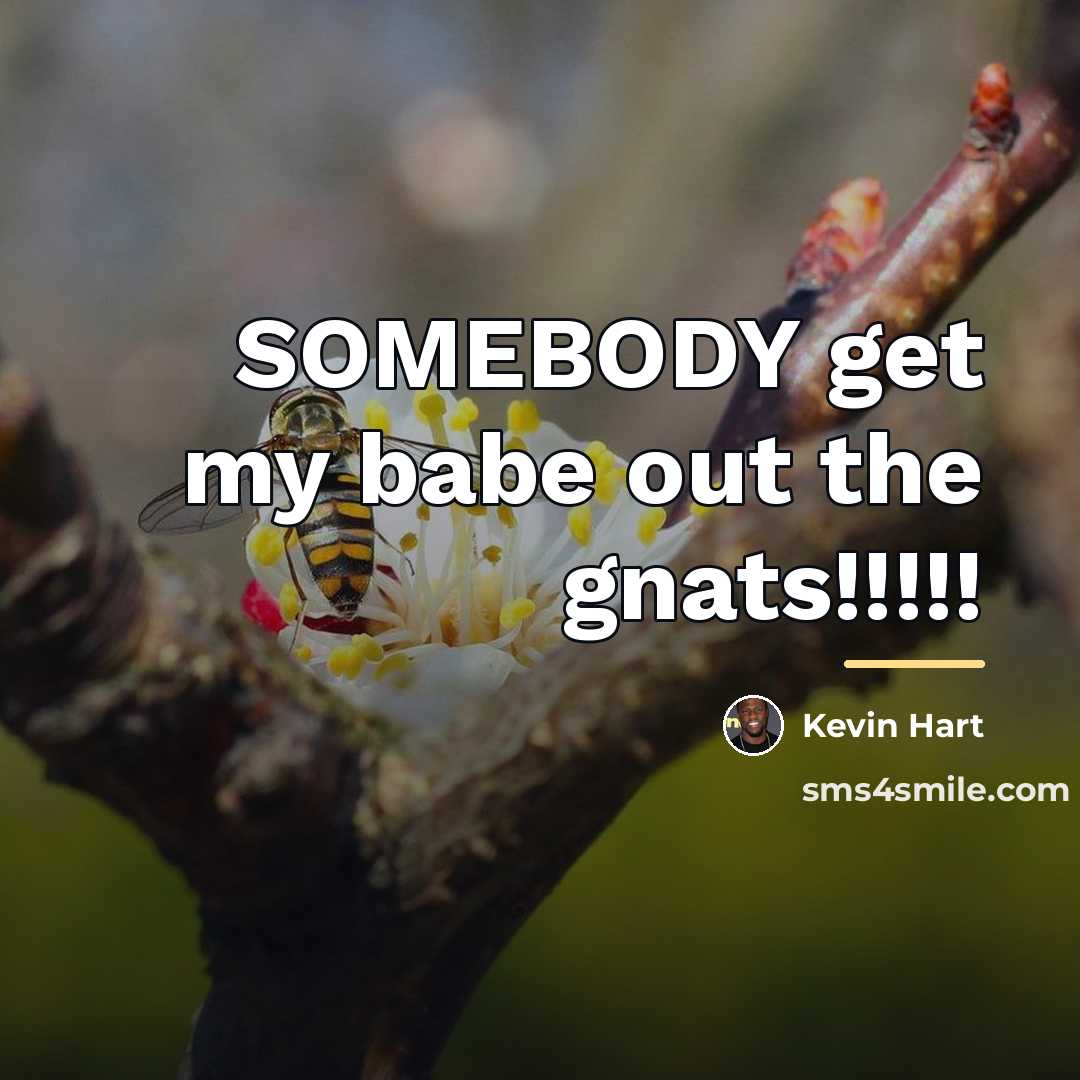 “SOMEBODY get my babe out the gnats!!!!!…” quote by Kevin Hart