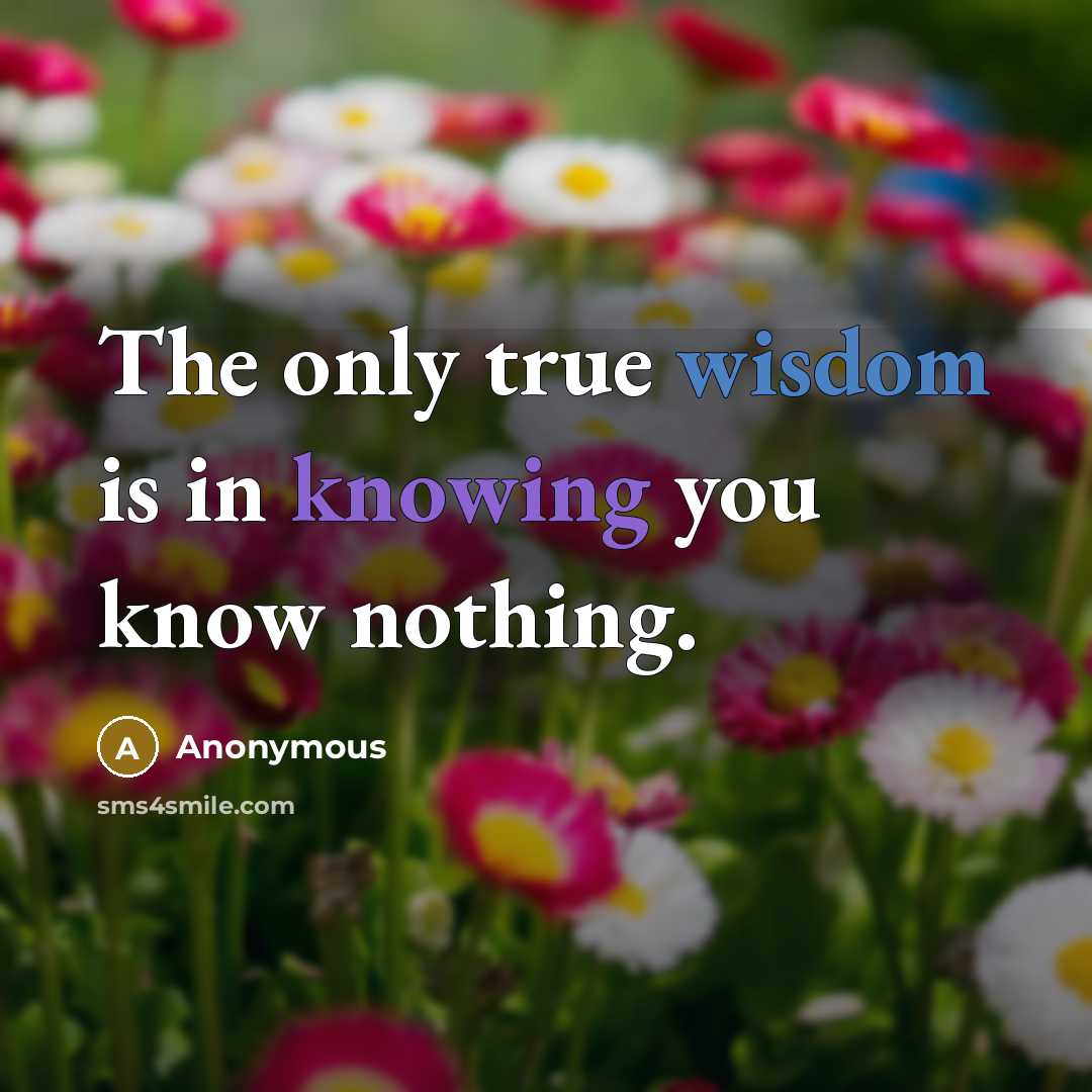 “The only true wisdom is in knowing you know nothing.…” quote by Anonymous