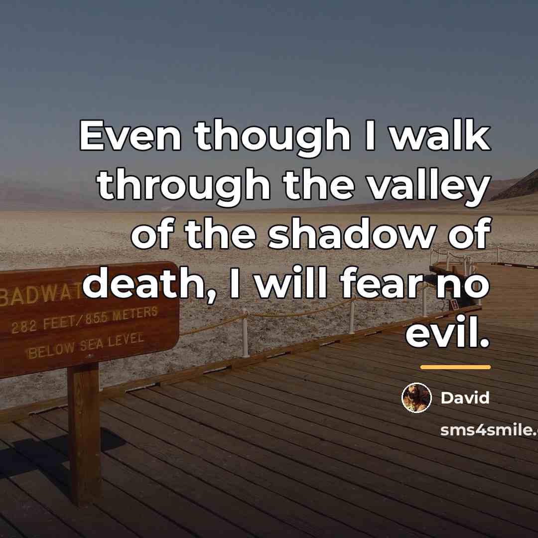 “Even though I walk through the valley of the shadow…” quote by David