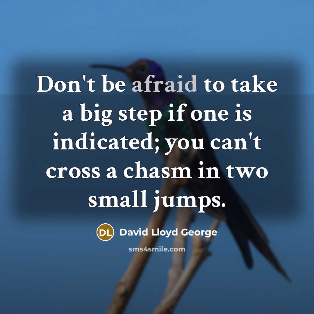 “Don't be afraid to take a big step if one is indicated; you can't cross a chasm in two small jumps.” quote by David Lloyd George