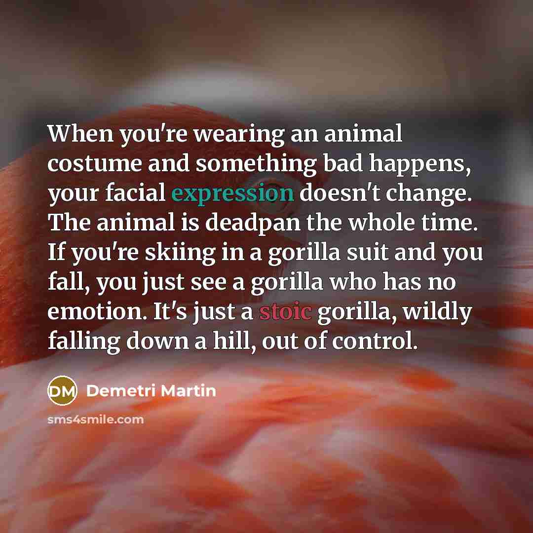 “When you're wearing an animal costume and something bad happens,…” quote by Demetri Martin