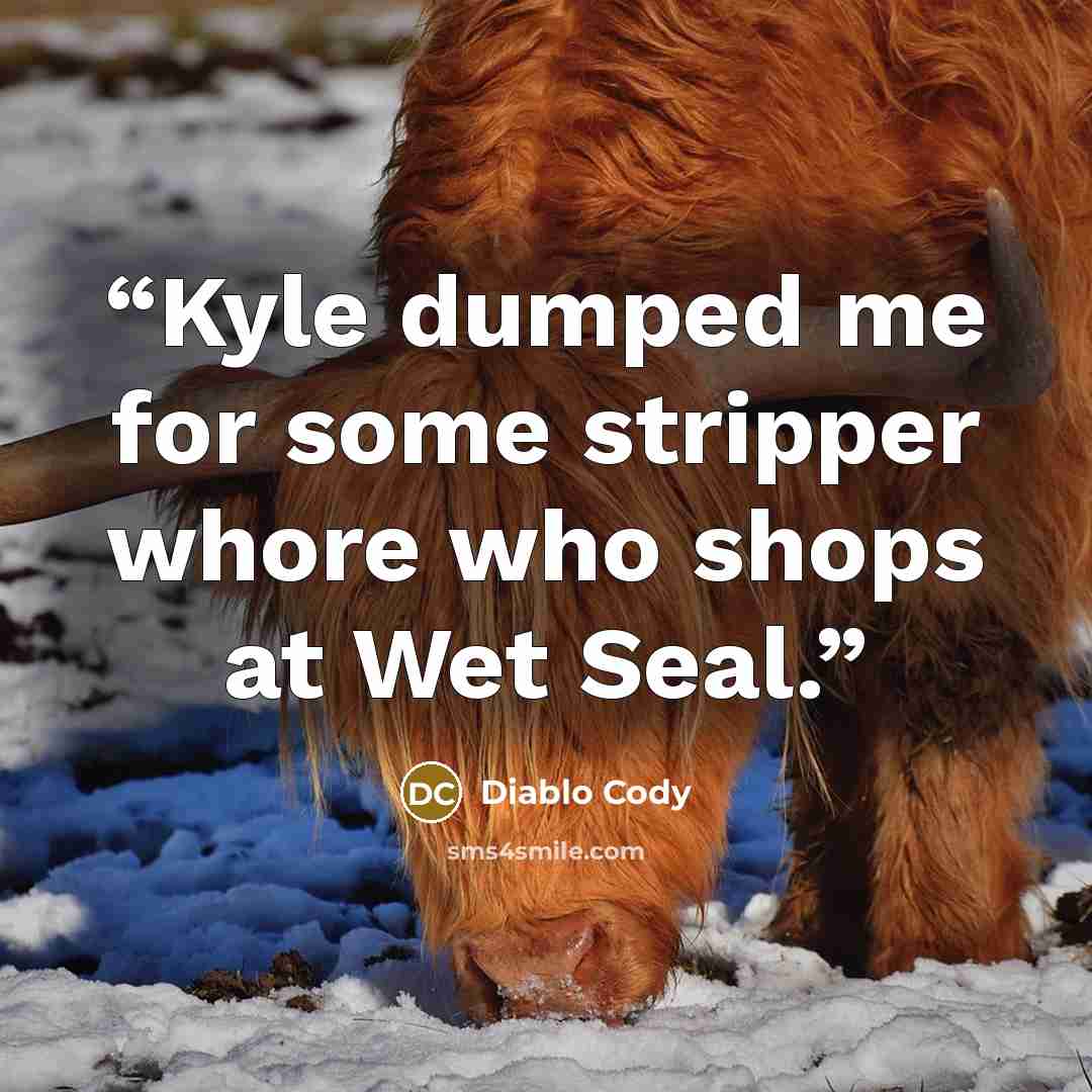 “Kyle dumped me for some stripper whore who shops at Wet Seal.” quote by Diablo Cody