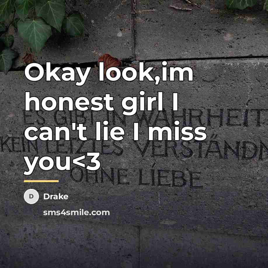 “Okay look,im honest girl I can't lie I miss you…” quote by Drake