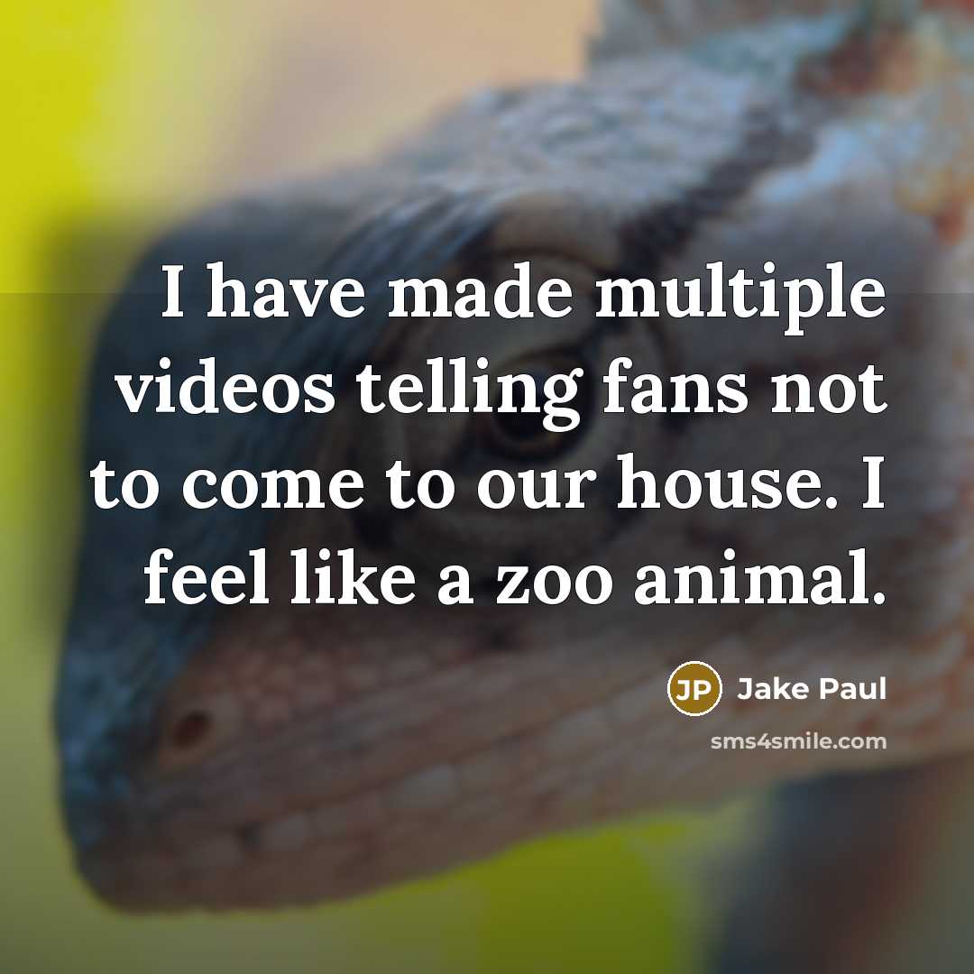 “I have made multiple videos telling fans not to come…” quote by Jake Paul