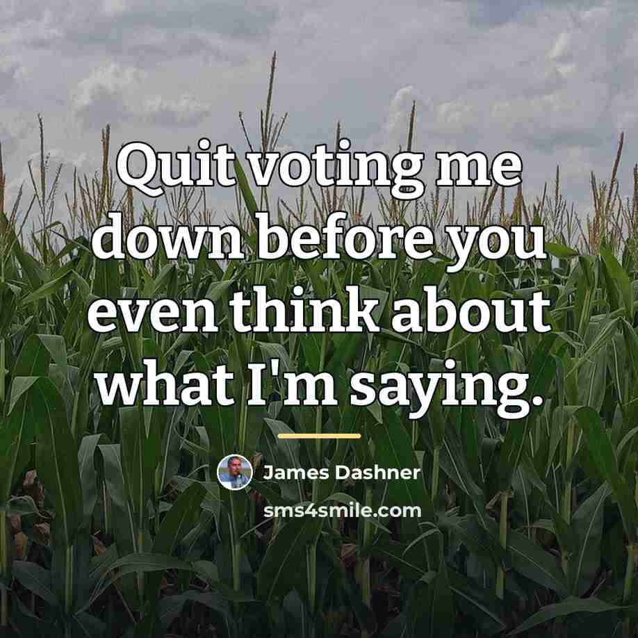 “Quit voting me down before you even think about what…” quote by James Dashner
