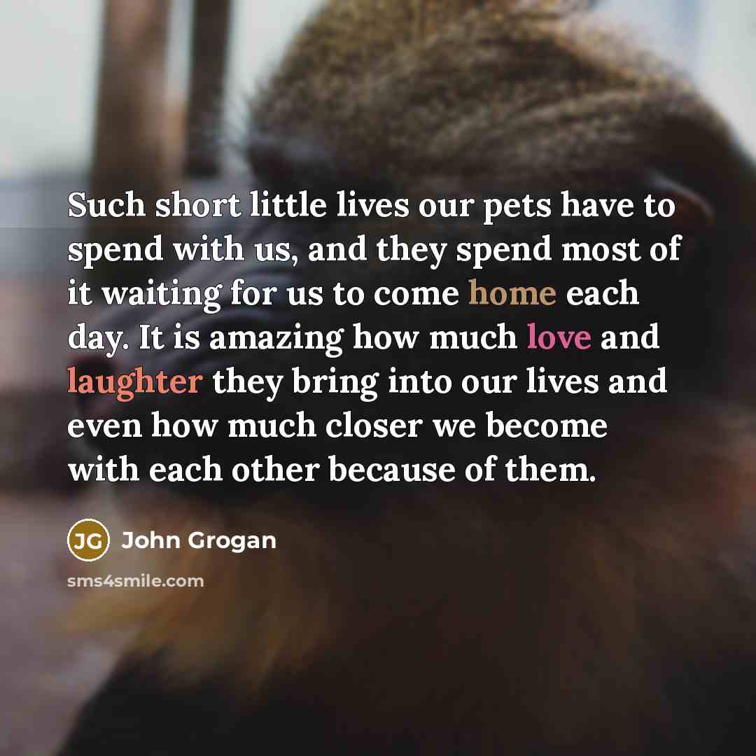 “Such short little lives our pets have to spend with…” quote by John Grogan