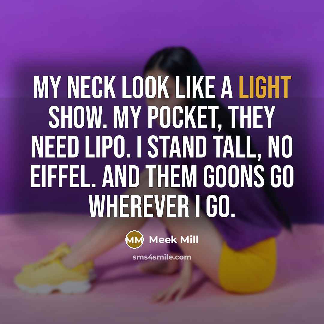 “My neck look like a light show. My pocket, they need lipo. I stand tall, no Eiffel. And them goons go wherever I go.” quote by Meek Mill