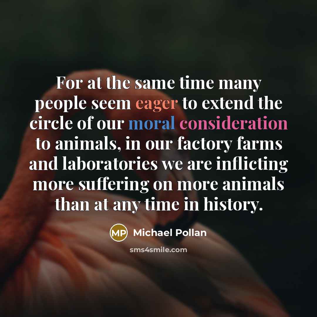 “For at the same time many people seem eager to extend the circle of our moral consideration to animals, in our factory farms and laboratories we are inflicting more suffering on more animals than at any time in history.” quote by Michael Pollan