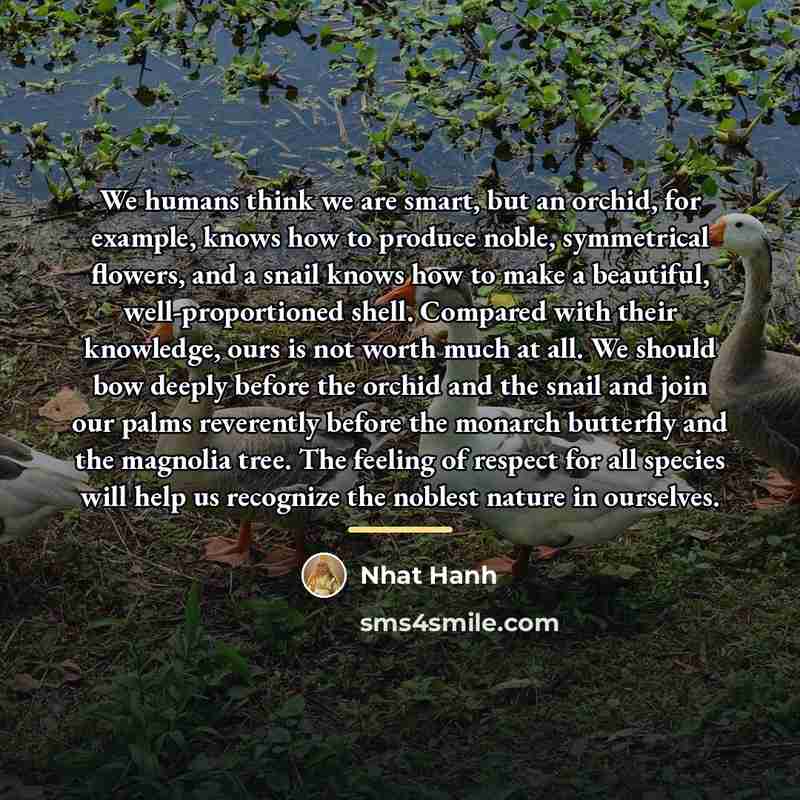 “We humans think we are smart, but an orchid, for…” quote by Nhat Hanh