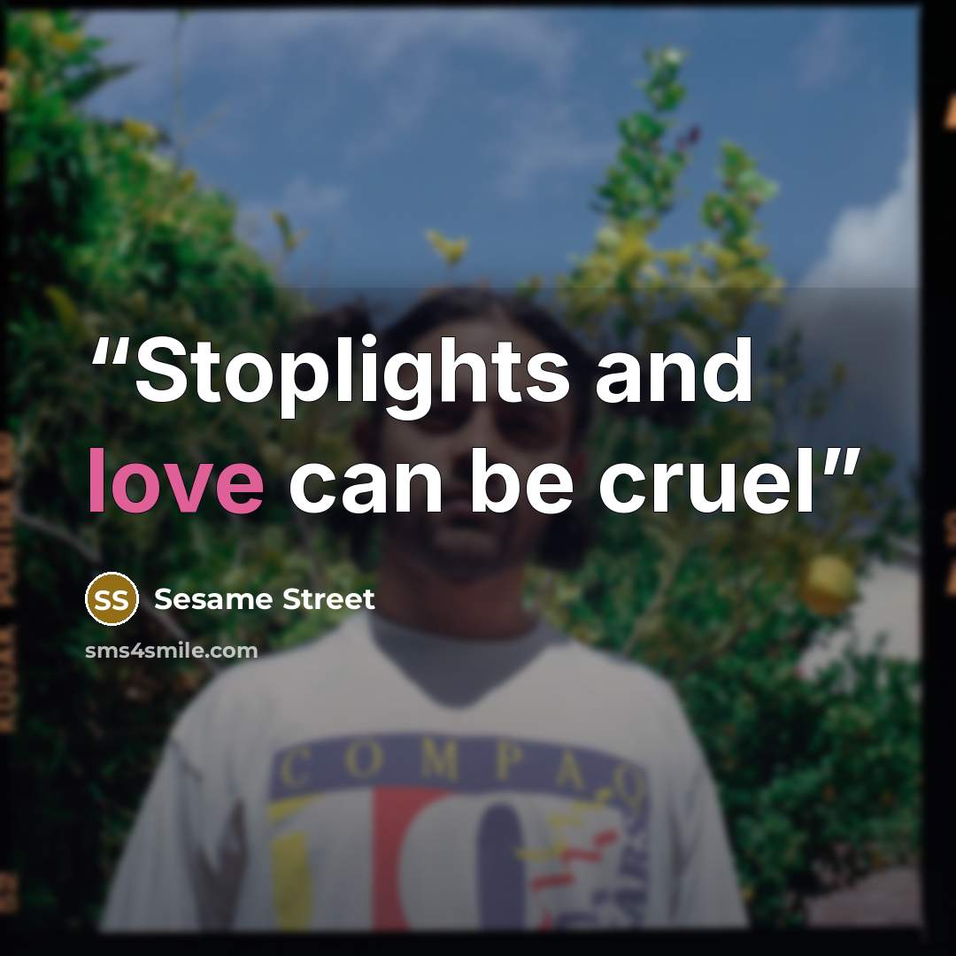 “Stoplights and love can be cruel” quote by Sesame Street