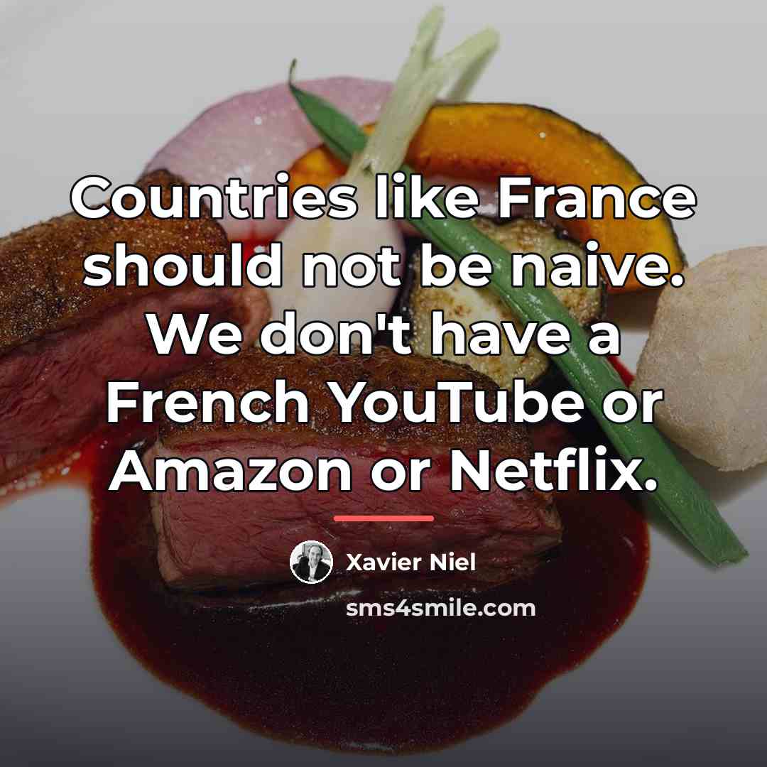 “Countries like France should not be naive. We don't have…” quote by Xavier Niel