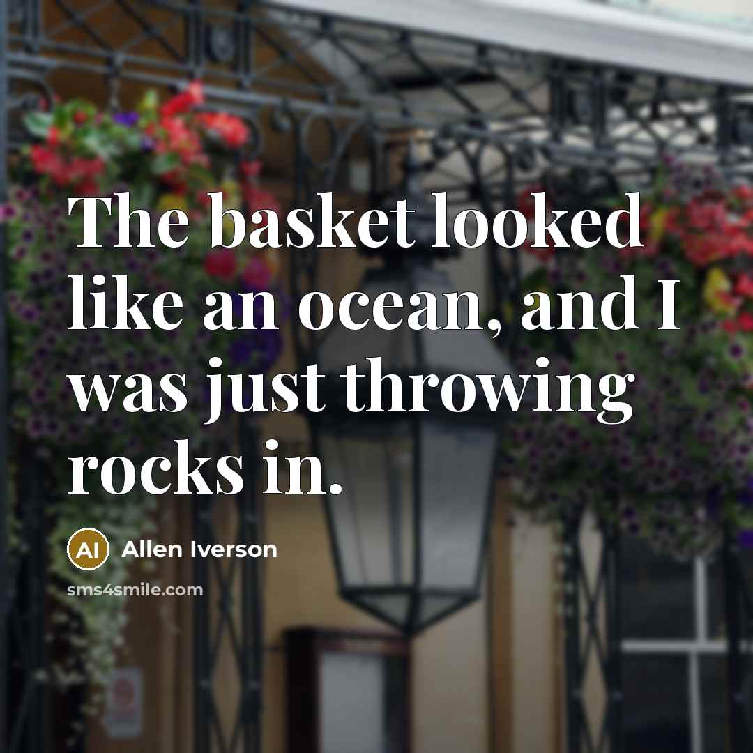 “The basket looked like an ocean, and I was just throwing rocks in.” quote by Allen Iverson