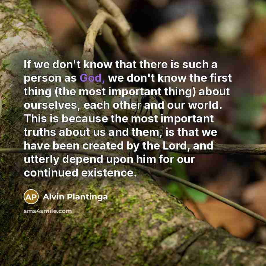 “If we don't know that there is such a person…” quote by Alvin Plantinga
