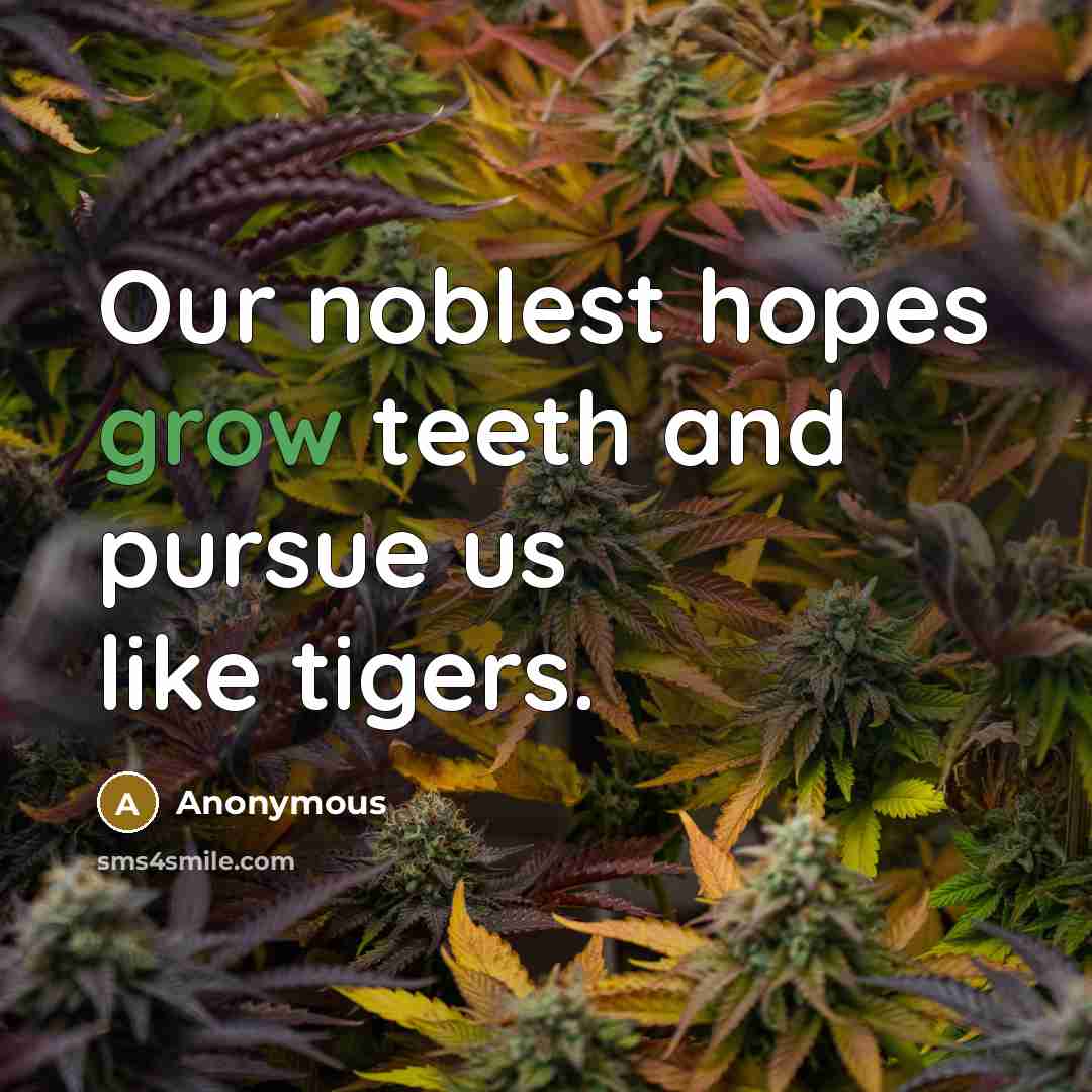 “Our noblest hopes grow teeth and pursue us like tigers.…” quote by Anonymous