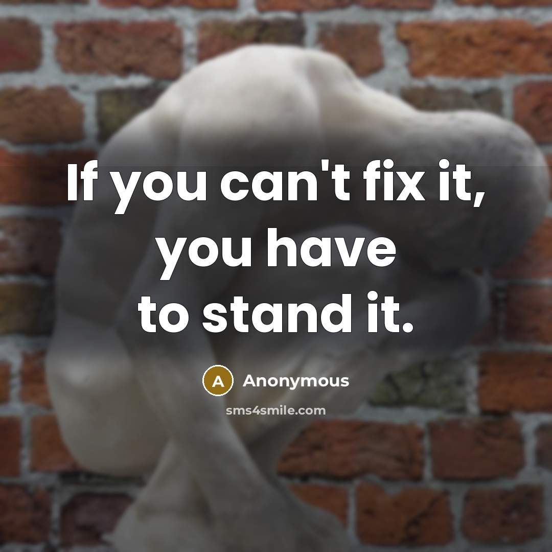 “If you can't fix it, you have to stand it.…” quote by Anonymous