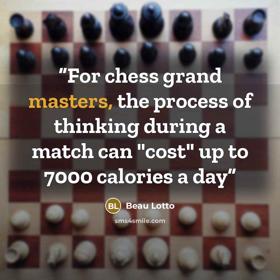 “For chess grand masters, the process of thinking during a match can "cost" up to 7000 calories a day” quote by Beau Lotto