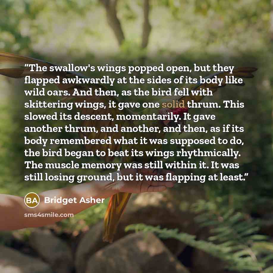 “The swallow's wings popped open, but they flapped awkwardly at the sides of its body like wild oars. And then, as the bird fell with skittering wings, it gave one solid thrum. This slowed its descent, momentarily. It gave another thrum, and another, and then, as if its body remembered what it was…” quote by Bridget Asher