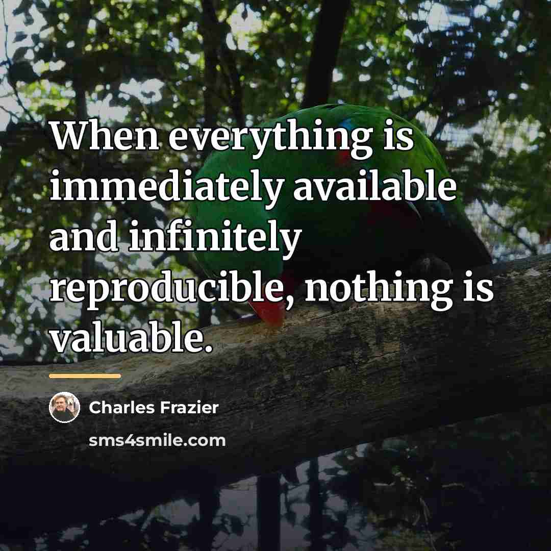 “When everything is immediately available and infinitely reproducible, nothing is…” quote by Charles Frazier