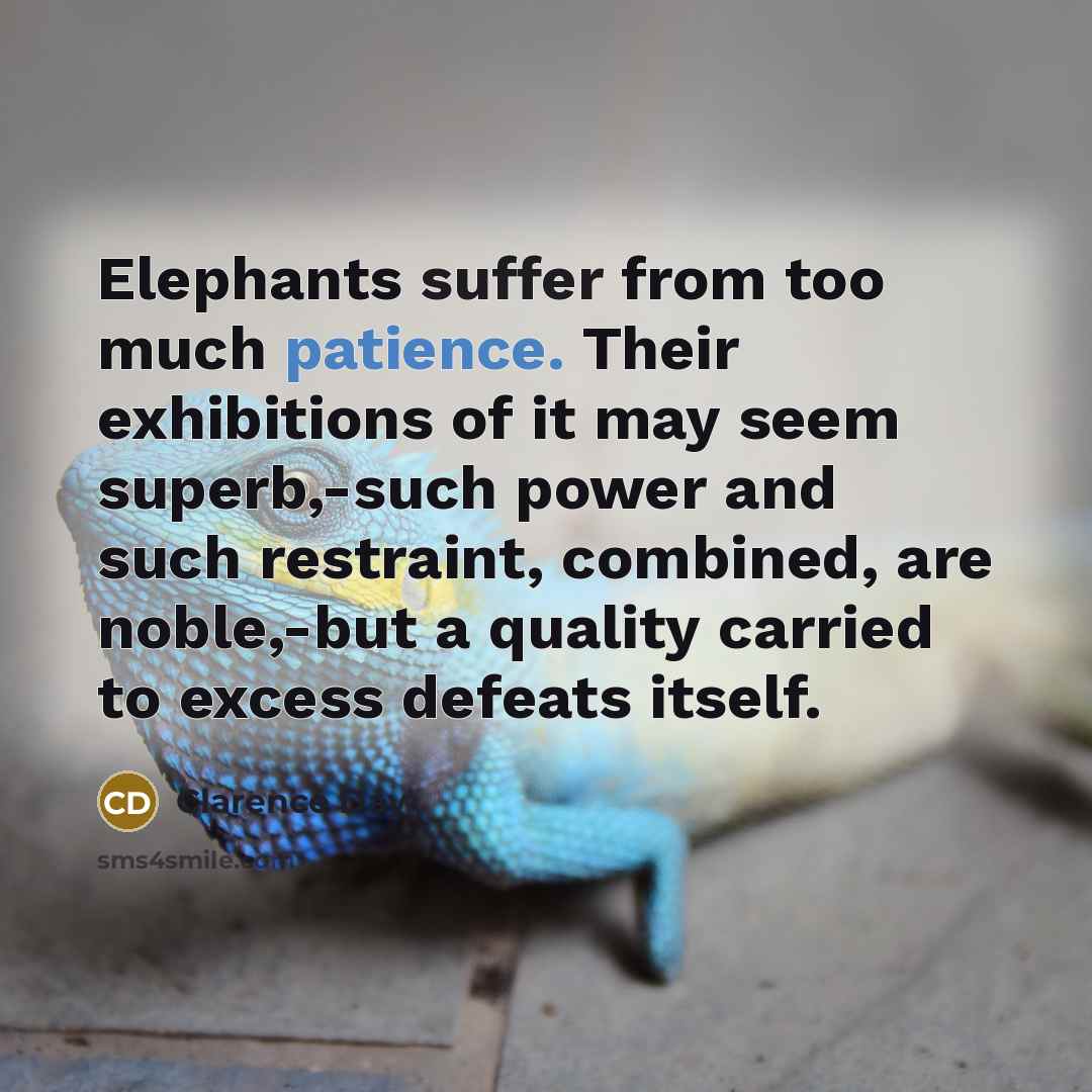 “Elephants suffer from too much patience. Their exhibitions of it may seem superb,-such power and such restraint, combined, are noble,-but a quality carried to excess defeats itself.” quote by Clarence Day