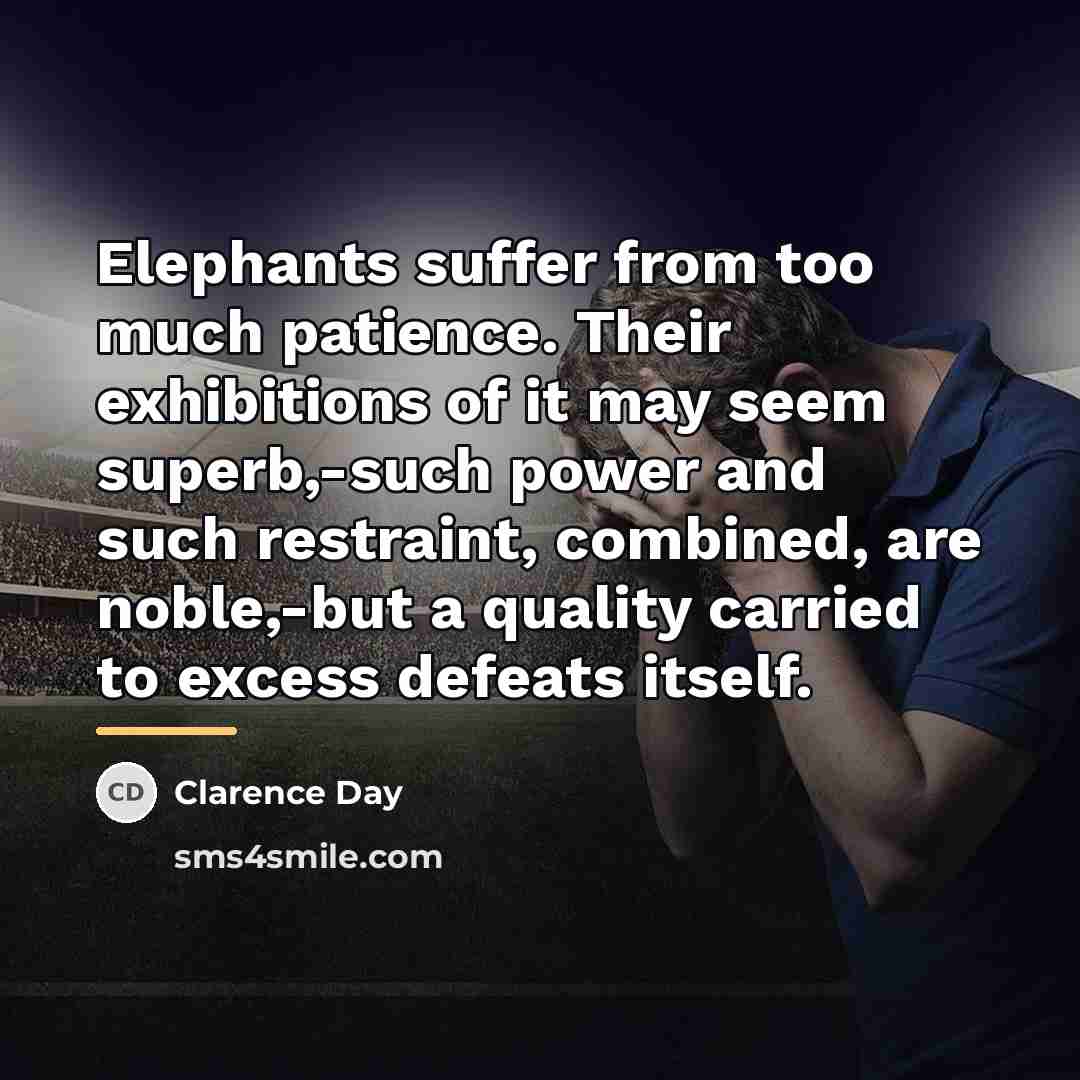 “Elephants suffer from too much patience. Their exhibitions of it…” quote by Clarence Day