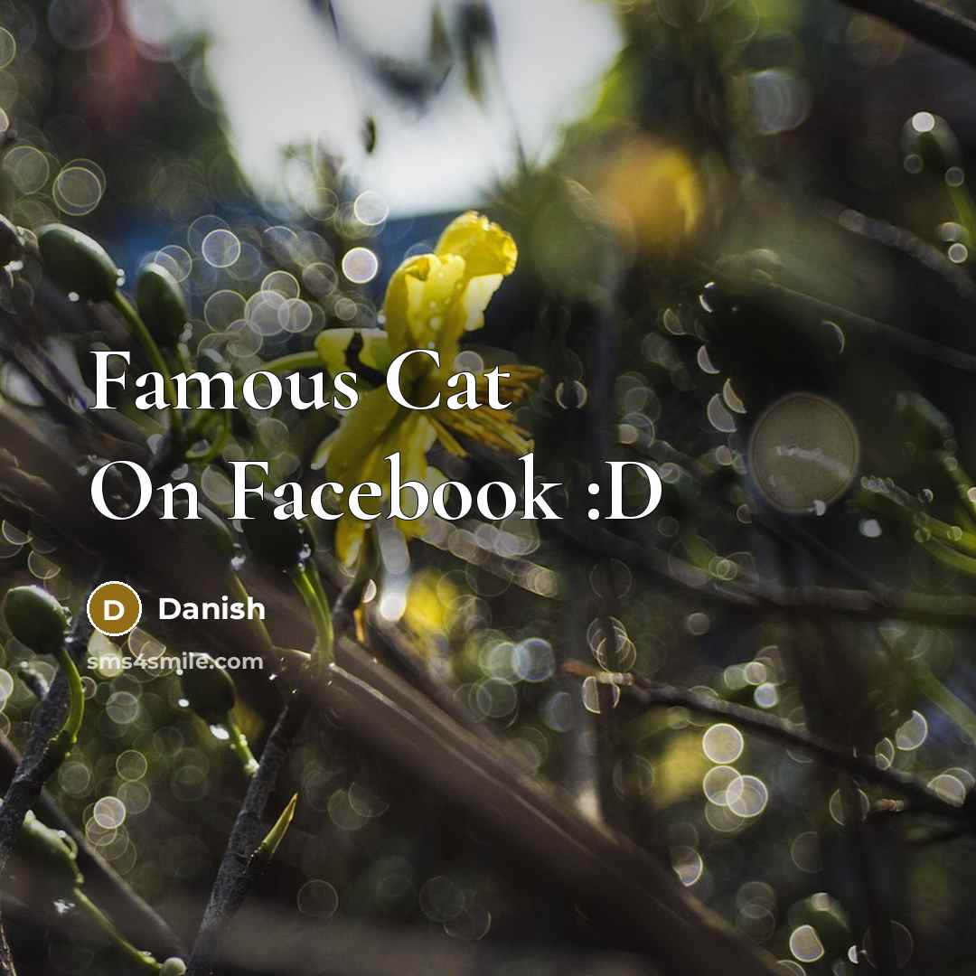 “Famous Cat On Facebook :D…” quote by Danish