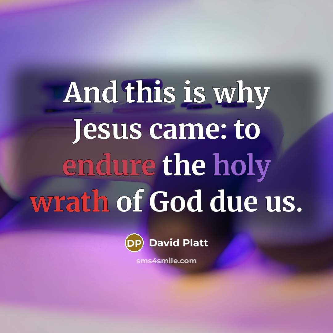 “And this is why Jesus came: to endure the holy…” quote by David Platt