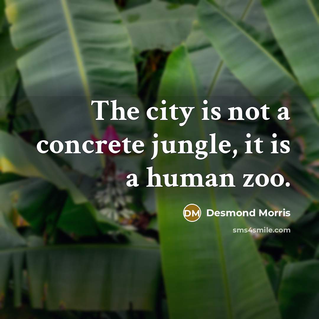 “The city is not a concrete jungle, it is a…” quote by Desmond Morris