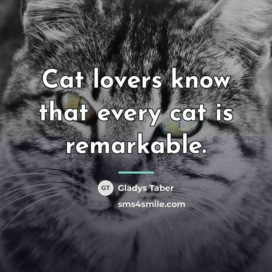 “Cat lovers know that every cat is remarkable.…” quote by Gladys Taber